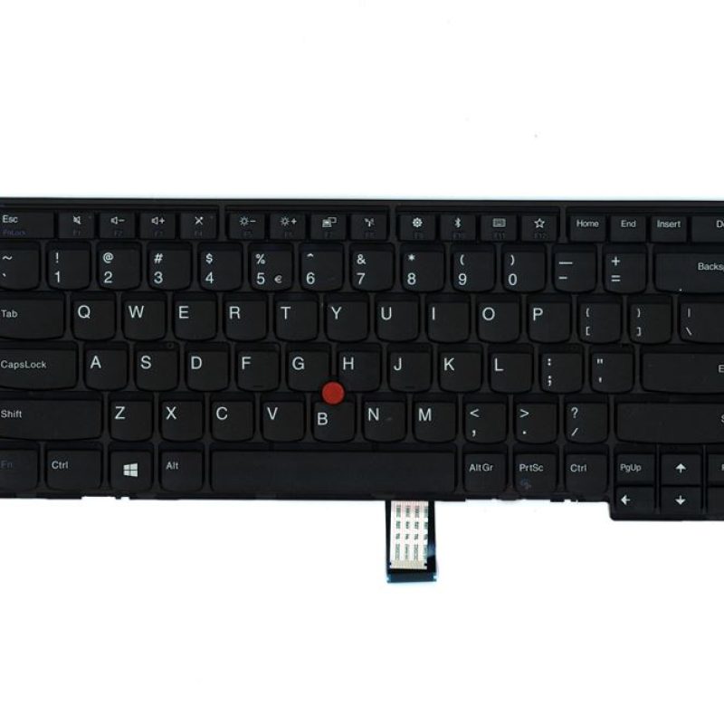 01EN498.jpg